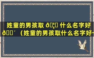 姓童的男孩取 🦈 什么名字好 🐴 （姓童的男孩取什么名字好一点）